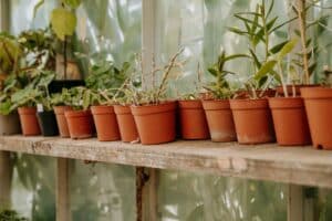 screen room garden