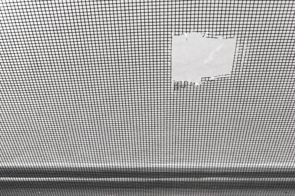 damaged mosquito screen