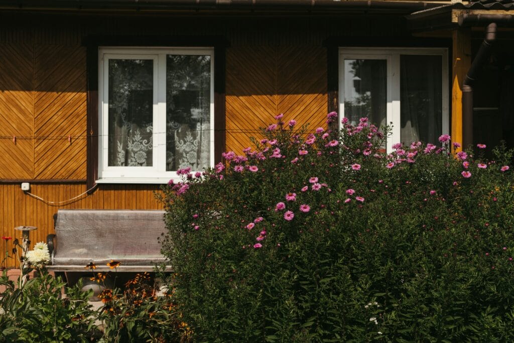 impact windows