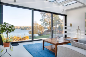 Impact Windows