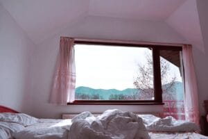Window