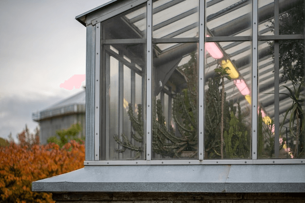 Lanai Enclosure