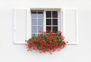 Window