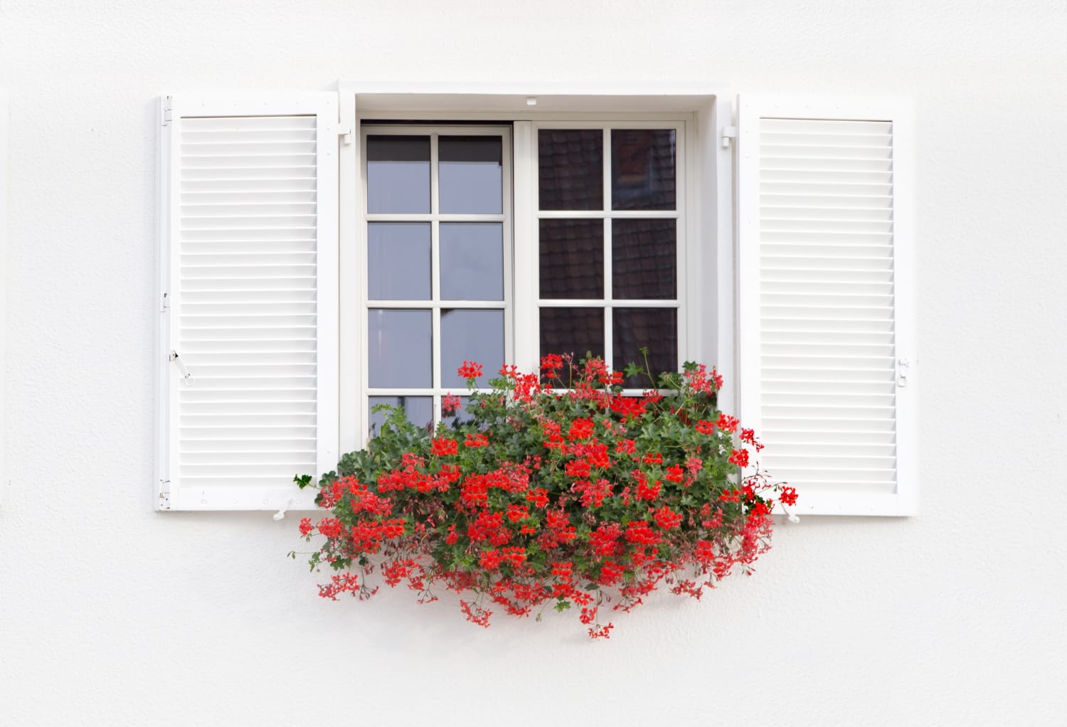 Acrylic window uv ratings fort myers in Fort Myers