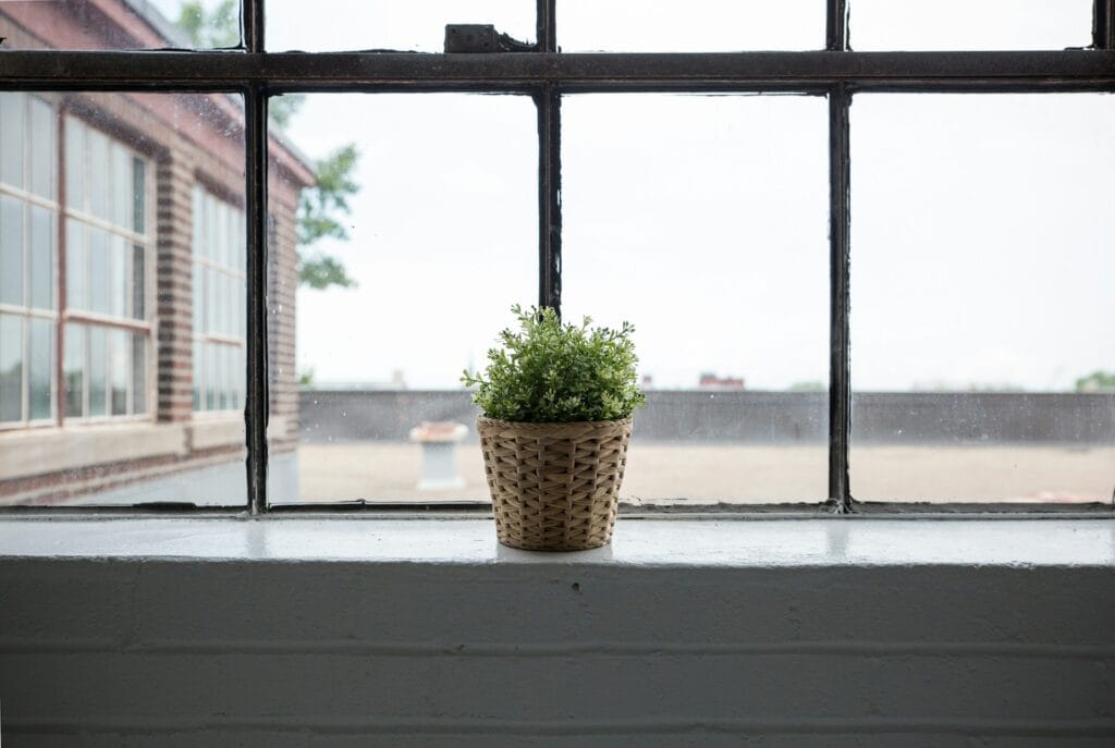 Windows