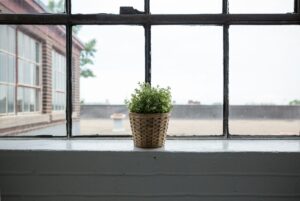 Windows
