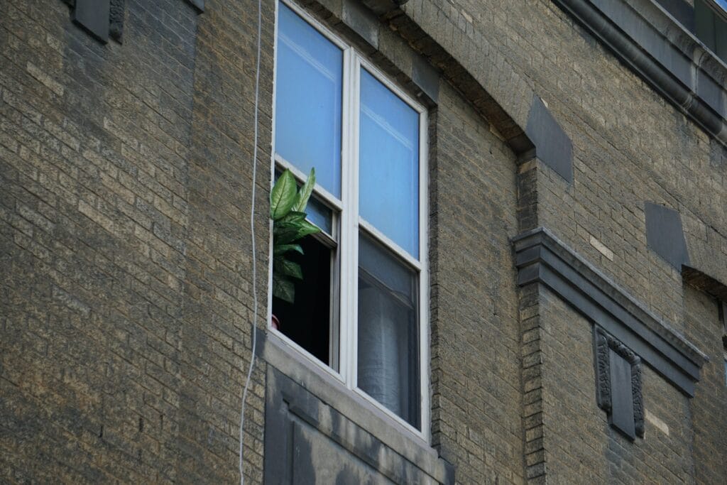 Acrylic Windows