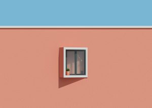 Acrylic Windows